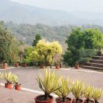 एमडीडीए के राजपुर पार्क में प्रतिदिन निशुल्क योग शिविर का ऐलान, आम जन को मिलेगा लाभ…