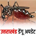 डेंगू /चिकनगुनिया के बढ़ रहे मरीज, स्कूली बच्चों के लिए गाइडलाइन जारी…