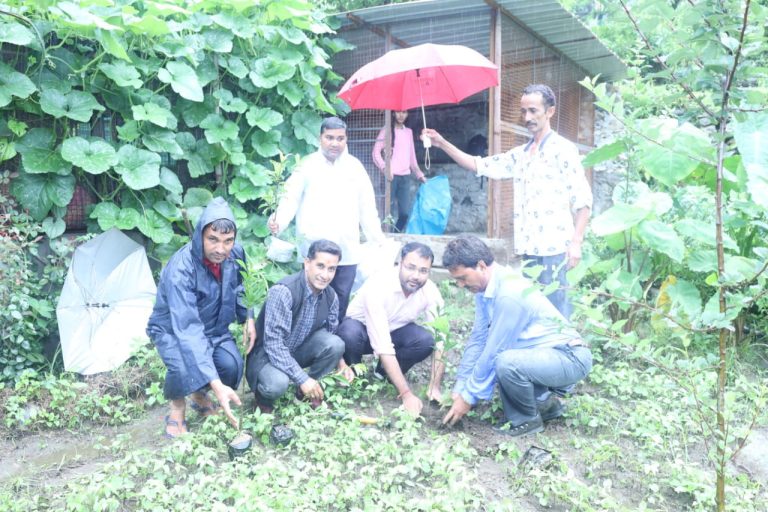 उत्तरकाशी : लायंस क्लब द्वारा देवीधार में गंगा तट पर हरेला सप्ताह के तहत किया गया 400 पौधों का रोपण