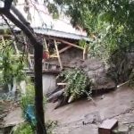 उत्त्तरकाशी : मोरी नैटवाड़ में अतिवृष्टि होने से सेब का बगीचा और माकन छतिग्रस्त