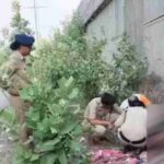 क्राइम: देहरादून रोड़ तीन पानी पुलिया के समीप मिला युवती का शव, गला रेत कर हत्या…
