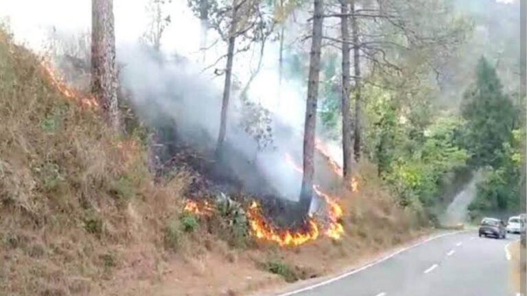 फायर: यंहा आग ने लिया विकराल रूप,तहसील परिसर पहुंची आग…