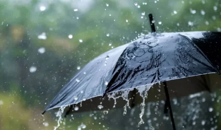 मौसम: भारी गरजना के साथ बारिश की बौछार, बारिश रहेगी बरकरार…