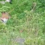 Breaking: कार हुई हादसे का शिकार, एक मौत दो घायल…