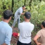 ब्रेकिंग टिहरी: घर के आंगन से 9 साल की मासूम को उठा ले गया गुलदार,परिवार में मचा कोहराम…