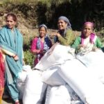 रुद्रप्रयाग: आजीविका समूह द्वारा तीनों विकास खंडों में 68 लाख 61 हजार से अधिक मंडुवे का किया गया है ...