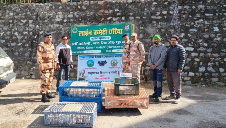 आईटीबीपी को भेड़, बकरी, मुर्गी और ट्राउट फिश की सप्लाई करते हैं किसान