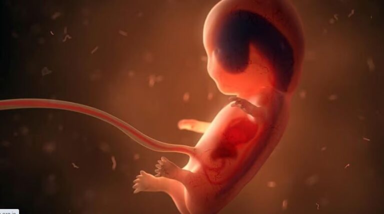 सिर्फ़ घर नहीं, गर्भ तक पहुँच रही हैं हीट वेव्स