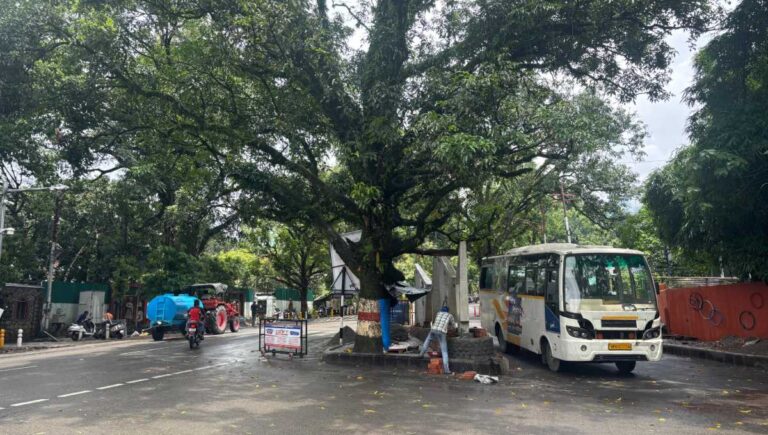 देहरादून: 11 अति व्यस्त जंक्शनों पर भी नवीन ट्रैफिक लाइट का कार्य भी हुआ पूर्णः जल्द होंगी समर्पित