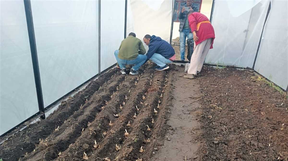 किसानों की अनुकूलन को मदद कम, सब्सिडी ज़्यादा