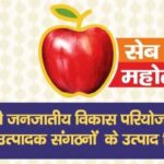 देहरादून में 8 और 9 अक्टूबर को लगेगा ‘सेब महोत्सव 3.0’…